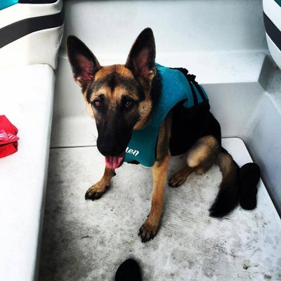 Profile Picture of Mike Nesci (@mnesci12) on Twitter