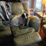 Profile Picture of Jerry Guill (@jerryguill9) on Instagram