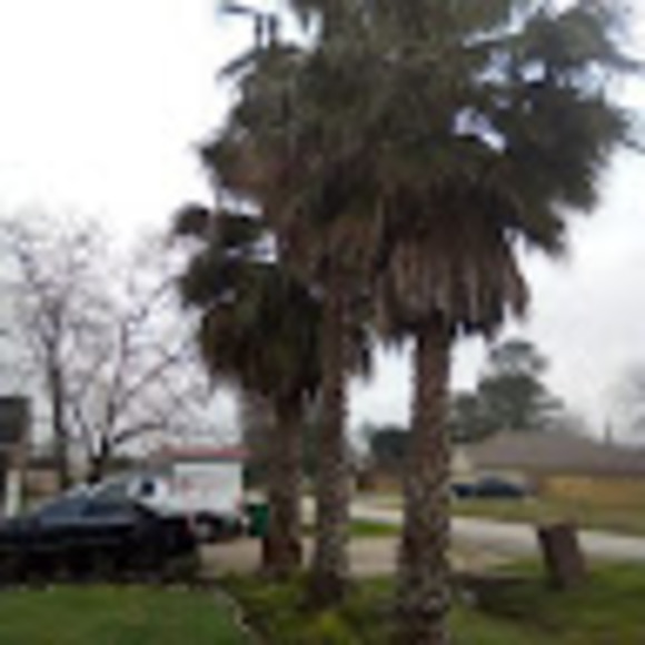 Jose Cherinos - Poshmark Profile Picture of Jose Cherinos (@jcherinos) on Poshmark