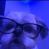 Profile Picture of Scarlett fp (@@scarlettfeatherston.fp) on Tiktok