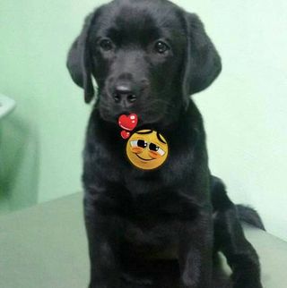 Profile Picture of Chicca Moretto (@chicca.moretto) on Facebook