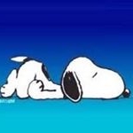 Profile Picture of Debbie Nutt (@danutt1963) on Instagram