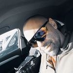 Michele Pizzolla - Instagram Profile Picture of Michele Pizzolla (@pizzolla_michele) on Instagram