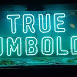 Profile Picture of Michael Hiney (@michaelhiney99) on Instagram