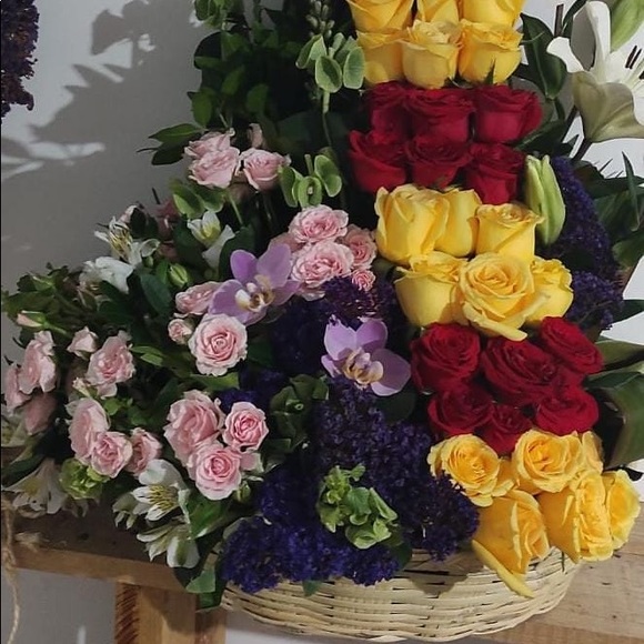 Profile Picture of Carla Brambila (@cjbrambila) on Poshmark