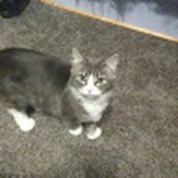 Profile Picture of Lyn Rivera (@lyn-rivera-11) on Quora