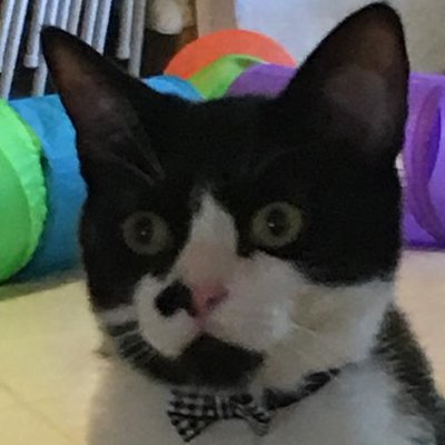 Profile Picture of Robert Trahan (@tpsorion) on Twitter