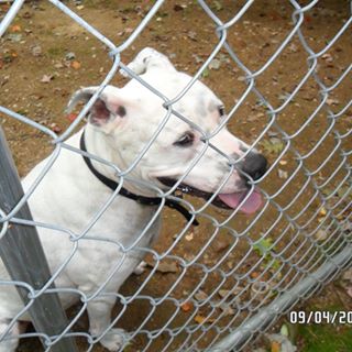 Profile Picture of Marlene Knapp (@marlene.knapp.56) on Facebook