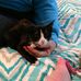 Profile Picture of Carol Weimer (@carol.weimer.18) on Facebook
