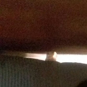 Profile Picture of John Ebrahim Khlilullah (@johnebrahimkhlilullah1414) on Youtube