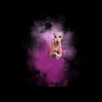 Profile Picture of Lisa Colorado (@LilyBil) on Facebook