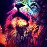 Jake Sturm - Instagram Profile Picture of Jake Sturm (@gaysex12332019) on Instagram