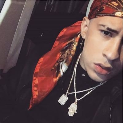 Profile Picture of Leonel Andres Ulloa (@zee_peque_leone) on Twitter