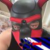 Profile Picture of Kyle Sheppard (@@pupdarius) on Tiktok