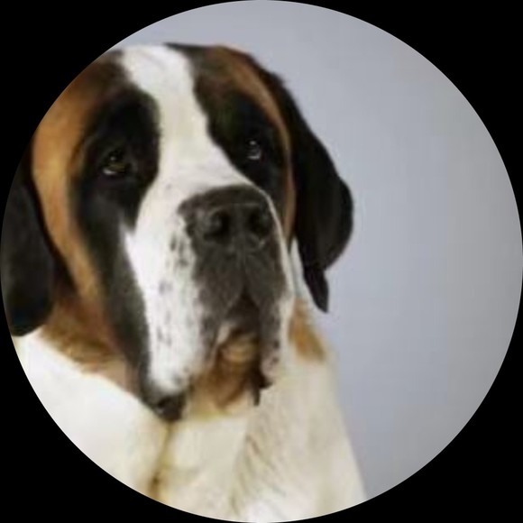 Profile Picture of Joane Dingell (@joanedingell) on Poshmark