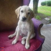 Profile Picture of Cathy Sing (@cs1026) on Pinterest