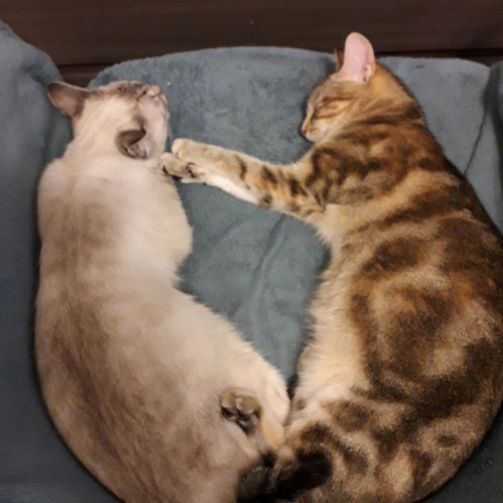 Profile Picture of belin (@marilynebelin) on Tiktok