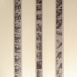 Profile Picture of Nick Westover (@NickWestover) on Twitter