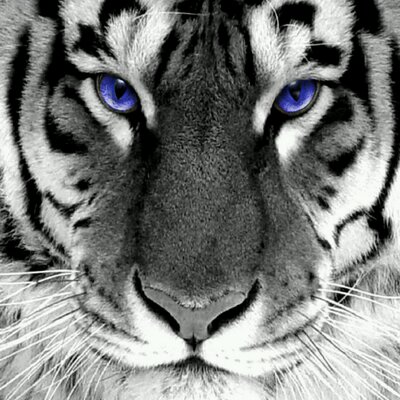 Profile Picture of Derek Fontenot (@derekfont0414) on Twitter