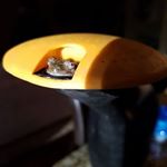 Profile Picture of Candace Mulcahy (@candacemulcahy) on Instagram