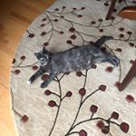 Profile Picture of Zachary Zimmerman (@zachzim2003) on Instagram