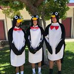 Profile Picture of Kyle Kirk (@kyle_kenneth_kirk) on Instagram