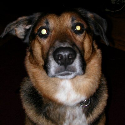 Profile Picture of Jerry Bingham (@jerrybingham) on Twitter