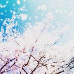 Profile Picture of Laura Kim Kreutzer (@laurakimkreutzer) on Instagram