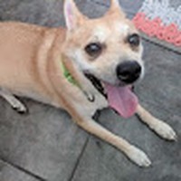 Profile Picture of Vivian Hartmann (@vivian-hartmann) on Quora