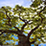 Profile Picture of Katelynn Rhea Thompson (@katelynn rhea) on Flickr