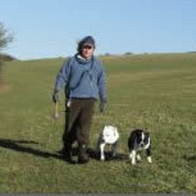 Profile Picture of Martin Robertson (@SwanseaTrainer) on Twitter