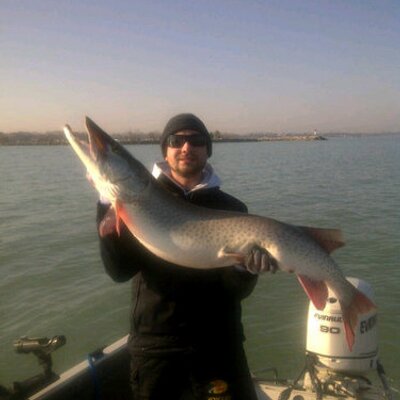 Profile Picture of Aaron Straus (@aaronstraus) on Twitter