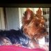 Profile Picture of Cecil Cliett (@cecil.cliett.73) on Facebook