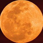 Profile Picture of Randall and Laura (@randall_and_laurita) on Instagram