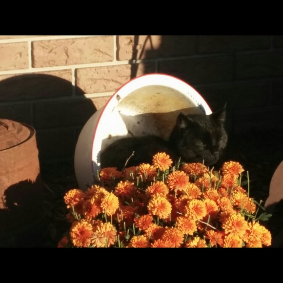 Profile Picture of Catina Psota (@cpsota04) on Poshmark