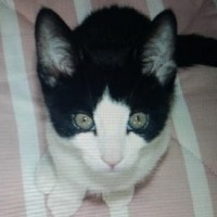 Profile Picture of Joyce Emery (@joyce-emery-7) on Quora