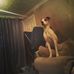 Profile Picture of Joshua Bagshaw (@joshua.bagshaw.7568) on Facebook