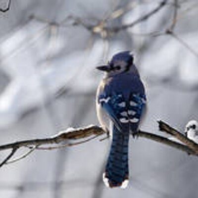 Profile Picture of Tom Luu (@@TomLuuT) on Twitter