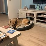 Profile Picture of Sean Maggs (@number_one_mistake_) on Instagram