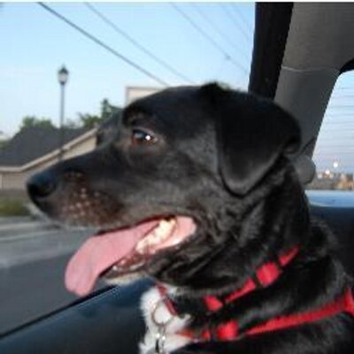 Profile Picture of Eric Haugland (@EMHaugland) on Twitter