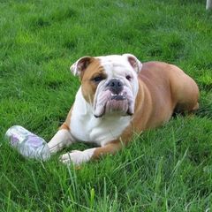 Profile Picture of patrickchiara583 (@patrickchiara583) on Tiktok