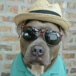 Profile Picture of Richard Mendizabal (@richardgianni24) on Instagram