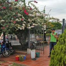 Profile Picture of Julio Leal Rubiano (@lealrubiano) on Twitter