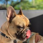 Profile Picture of Seth Lassen (@seth_lassen) on Instagram