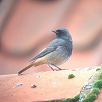 Profile Picture of Daniel Nairn (@dannairn18) on Flickr