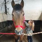 Profile Picture of Jamillah Hendriks (@jamillahhendriks) on Instagram