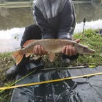 Profile Picture of Karel Hamala (@Karel-Hamala) on Facebook