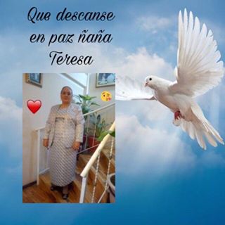 Profile Picture of Juan Mancheno (Cheto) (@juan.mancheno.90) on Facebook