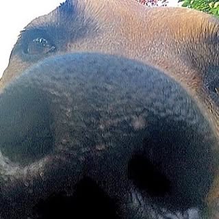 Profile Picture of Rich Carter (@r_carter) on Instagram