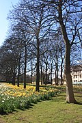 Profile Picture of Victoria Park, Edinburghon Wikipedia